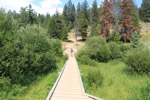 resIMG_20170715_170142_8680.JPG